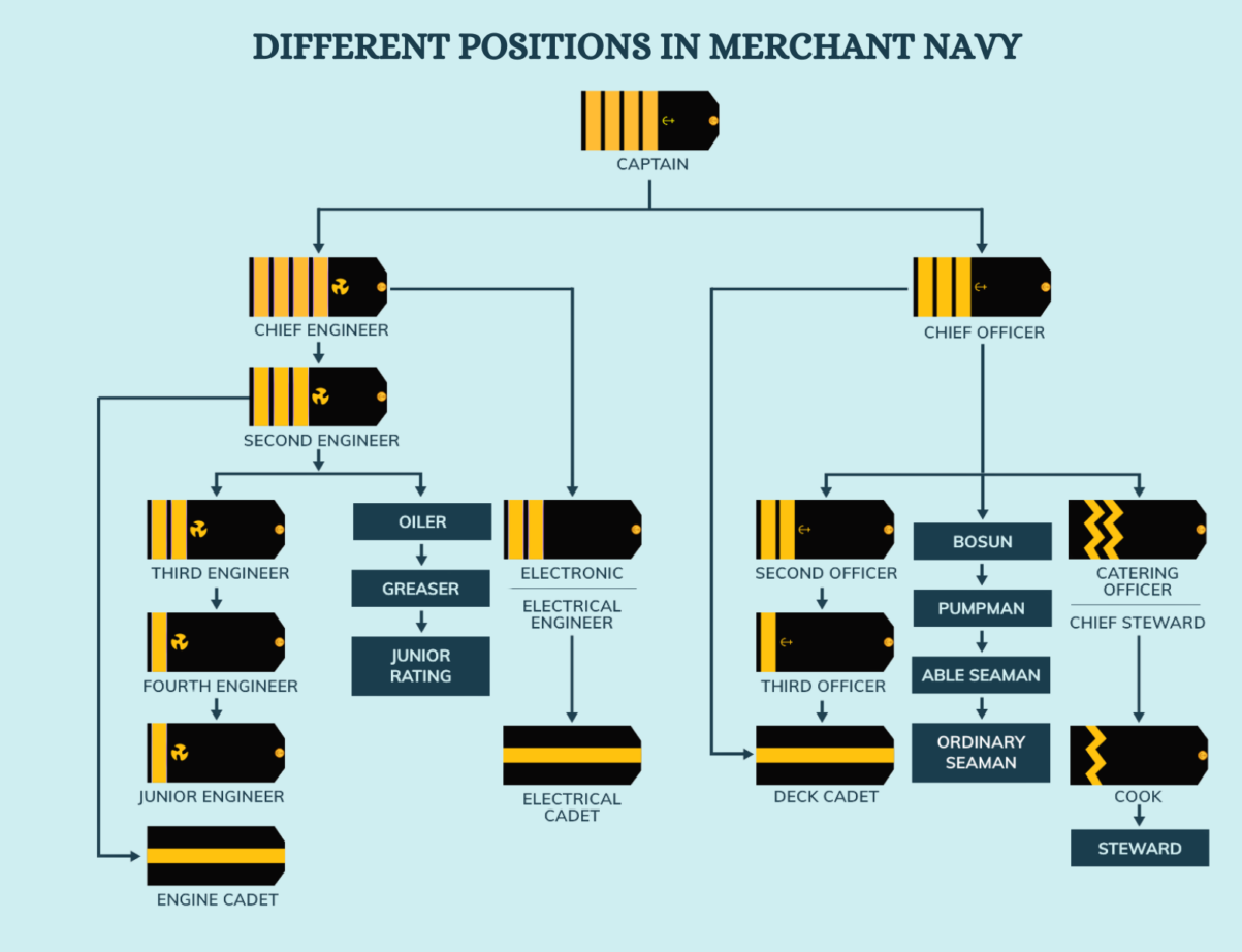 Different Positions in Merchant Navy