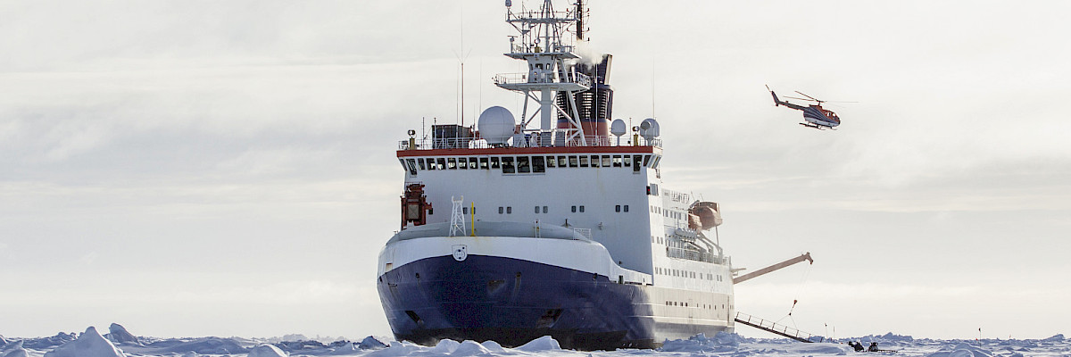 Shipping Companies Requiring Polar Navigation Certification
